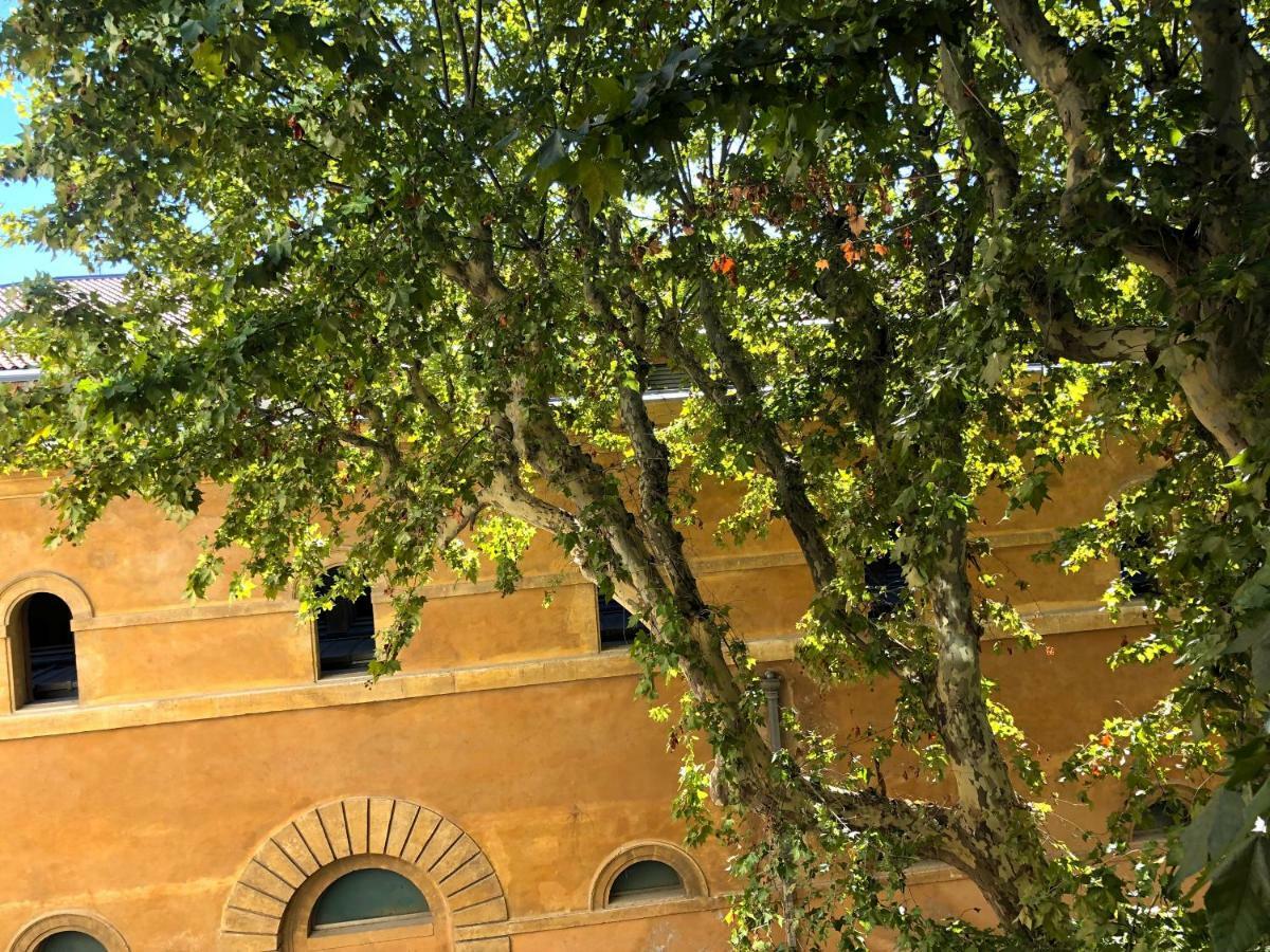 Apartment Beau 3 Pieces 83 M2 Au Coeur Du Centre Historique D'aix En Provence